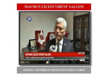 TVHB: “Küresel salgınları önlemenin yolu ‘Tek Sağlık’ yaklaşımıdır.”