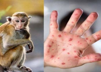 “Küresel salgınları yaşamanın yolu ‘tek sağlık’ yaklaşımı”