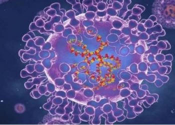 TVHB Başkanından ‘maymun çiçeği virüsü’ açıklaması