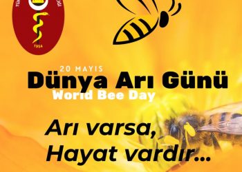 20 Mayıs Dünya Arı Günü
