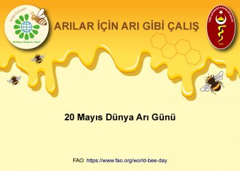 20 Mayıs Dünya Arı Günü