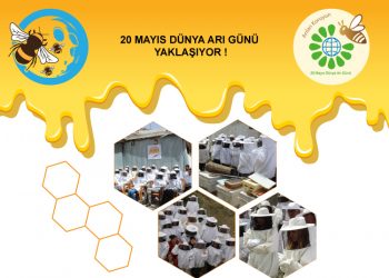 20 Mayıs Dünya Arı Günü yaklaşıyor!