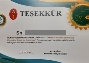 TVHB’den karikatür sanatçılarına “Teşekkür Belgesi”