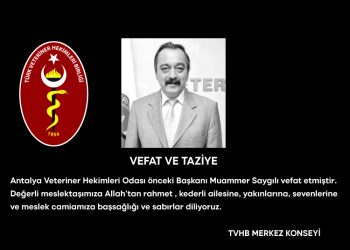 Vefat ve Taziye