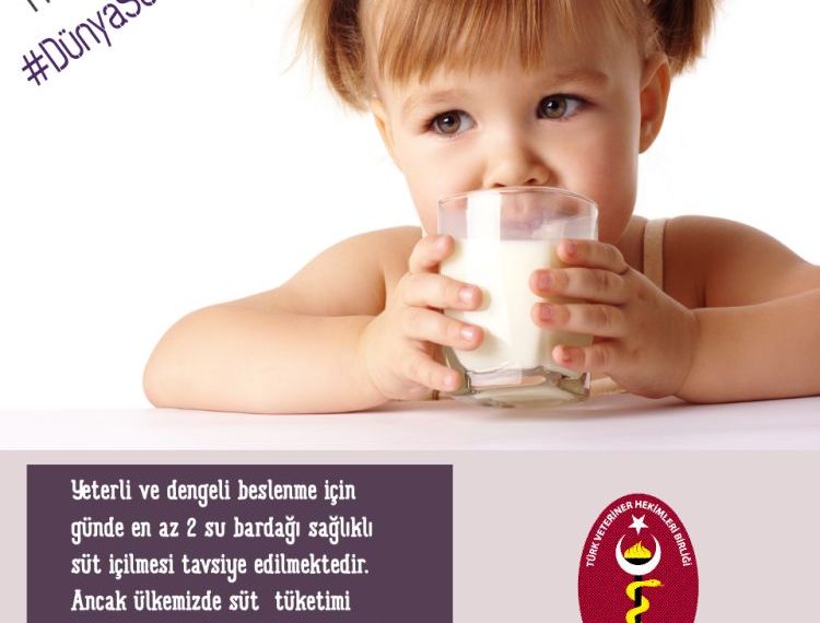 Türk Veteriner Hekimleri Birliği’nden “Dünya Süt Günü” açıklaması