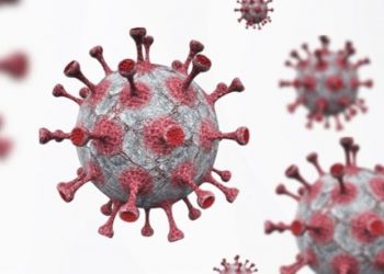 Veteriner Hekimlerden “maymun çiçeği” açıklaması