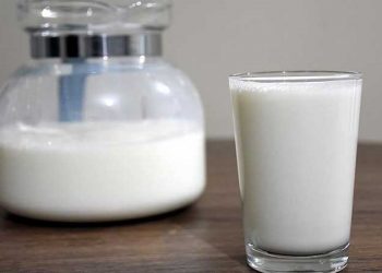 Türk Veteriner Hekimleri Birliği’nden Dünya Süt Günü açıklaması