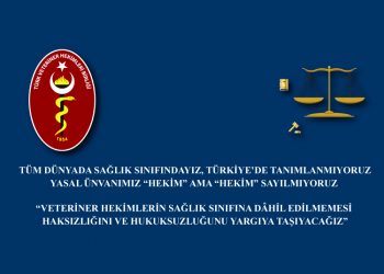 Tüm Dünyada Sağlık Sınıfındayız, Türkiye’de Tanımlanmıyoruz