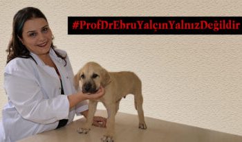 TVHB, “Kamuoyunun Dikkatine!”