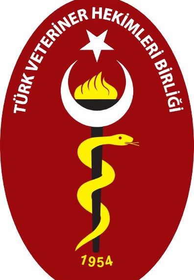“Tekrar bir daha düşünelim”