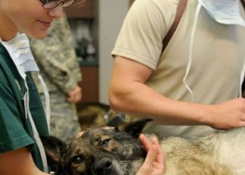 TVHB Başkanı Eroğlu: ‘Sağlıkta ayrımcılık olmamalıdır’