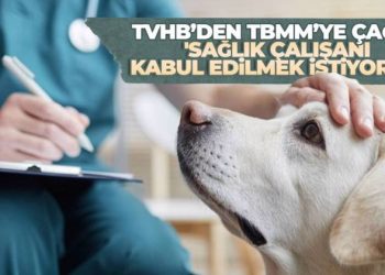 Veteriner Hekimler sağlık çalışanı olarak kabul edilmek istiyor