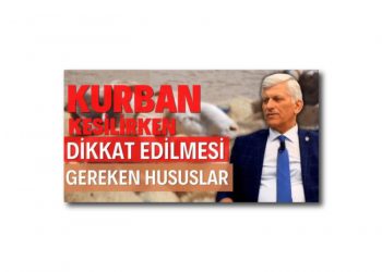 Kurbanda Dikkat Çeken Hususlar – Türk Veteriner Hekimleri Birliği Başkanı Ali Eroğlu Gündem Tarım’da