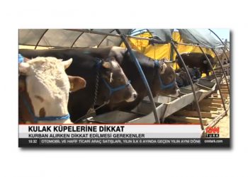 Doğru ve Sağlıklı Kurban Seçimi