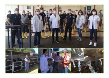 Veteriner Hekimler her Kurban Bayramında olduğu gibi,