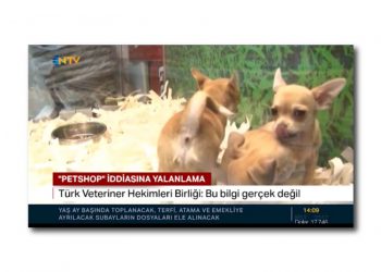 Türk Veteriner Hekimleri Birliği’nin petshoplarla ilgili açıklaması