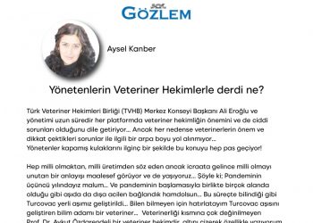 Yönetenlerin veteriner hekimle derdi ne?