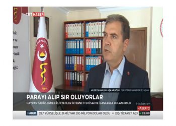 “Barınaklardan hayvan sahiplenilmesini öneriyoruz”