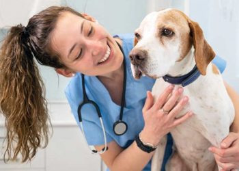 Türk Veteriner Hekimleri Birliğinden veteriner fakültesi öğrencileri için de maaş talebi