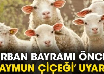 Kurban Bayramı öncesi ‘maymun çiçeği’ hastalığı uyarısı