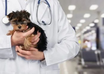 TVHB Öğrenci Konseyi Yaptığı Açıklamayla Cumhurbaşkanı Erdoğan’a Seslendi