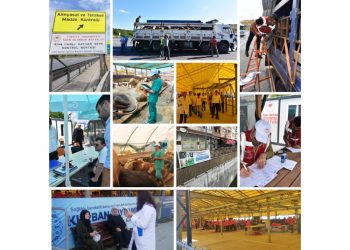 Türk Veteriner Hekimleri Birliği’nden Teşekkür ve Şiddete Hayır Mesajı