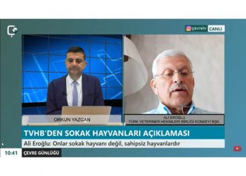 Veteriner Hekimler sahipsiz hayvanlar sorunu için ne diyor?