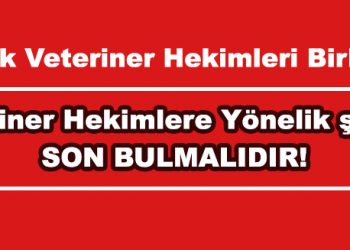 TVHB: “Artık Veteriner Hekimlere yönelik şiddet son bulmalıdır”