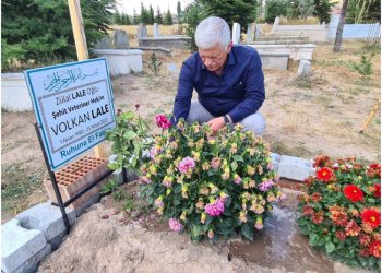 TVHB, MESLEK ŞEHİDİMİZ VETERİNER HEKİM VOLKAN LALE’Yİ  KABRİ BAŞINDA ANDI