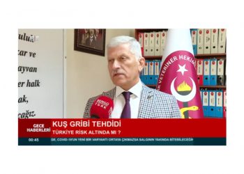 Avrupa’da Kuş Gribi Vakaları