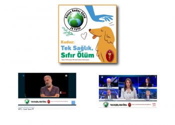 Dünya Kuduz Günü 28 Eylül