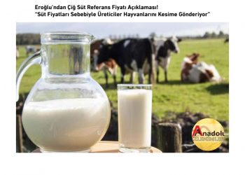 Eroğlu’ndan Çiğ Süt Referans Fiyatı Açıklaması!