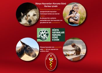 4 EKİM DÜNYA HAYVANLARI KORUMA GÜNÜ