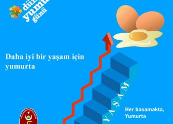 TVHB’den ‘Dünya Yumurta Günü’ mesajı