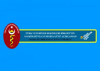 Daha İyi Bir Hayat İçin Yumurta