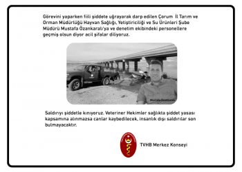 TVHB: “ Veteriner Hekimlere yönelik şiddet artık son bulmalıdır”