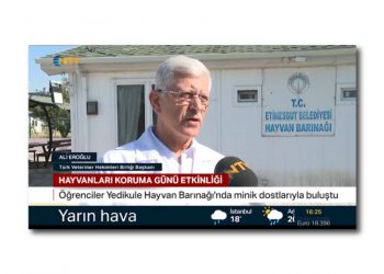 4 Ekim Dünya Hayvanları Koruma Günü Etkinliği