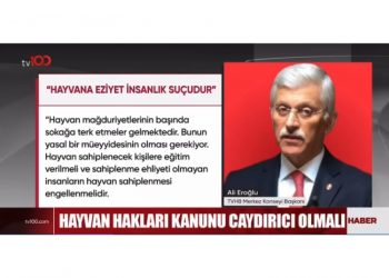 Ülkemizde yaşanan hayvan mağduriyetlerinin önlenmesi