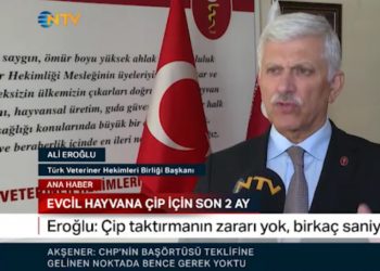 Evcil hayvanlara mikroçip taktırma süresi giderek daralıyor.