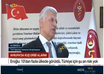 Avrupa’da Kuş Gribi Vakaları