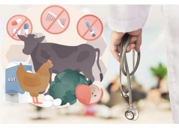 Veteriner Hekimlikte Akılcı Antibiyotik Kullanımı