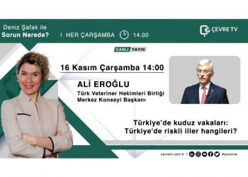 Türkiye’de kuduz vakaları / Çevre Tv 16.11.2022 Saat 14.00