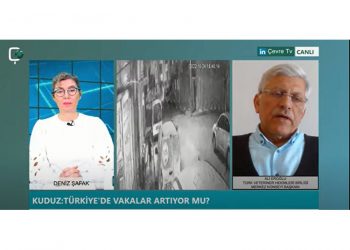 Türkiye’de kuduz vakaları artıyor mu? Hangi şehirlerimiz risk altında?