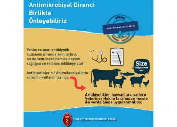 Antimikrobiyal Direnci Birlikte Önleyebiliriz