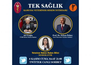 Tek Sağlık, Kamuda Veteriner Hekim İstihdamı