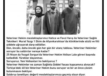Türk Veteriner Hekimleri Birliği’nden Veteriner Hekimlere saldırıya tepki