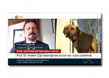 Mikroçip uygulaması için son gün 31 Aralık 2022