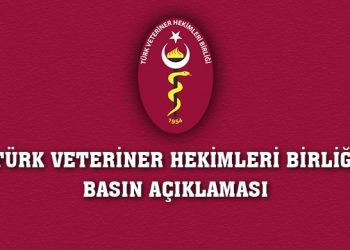 TVHB; “10.000 den fazla genç meslektaşımız atanmayı beklemektedir”