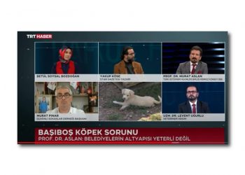 Başıboş köpek sorunu / TRT Haber 18.12.2022