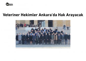 Veteriner Hekimler Ankara’da Hak Arayacak